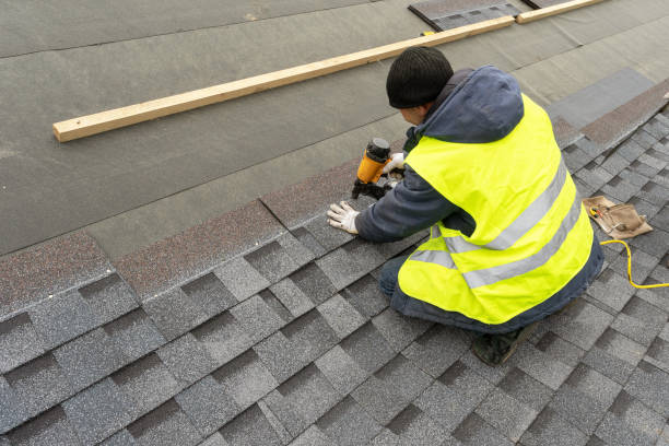 Best Roof Gutter Cleaning  in St Joseph, MI