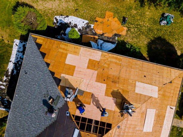Best Residential Roofing Contractor  in St Joseph, MI