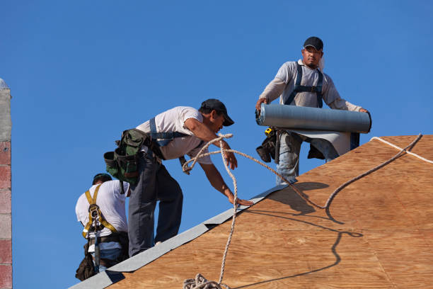 Best Storm Damage Roof Repair  in St Joseph, MI