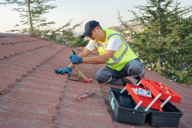 Professional Roofing Contractor in St Joseph, MI