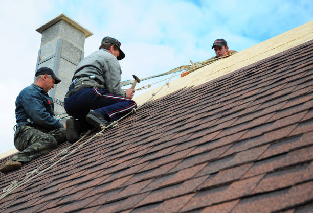 Best Residential Roofing Contractor  in St Joseph, MI
